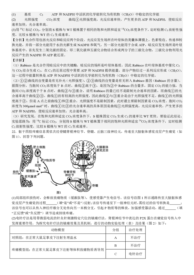 黑、吉、辽、蒙生物-答案_1.高考2025全国各省真题+答案_00.2025各省市高考真题及答案（按省份分类）_24.吉林卷（9科全）_生物