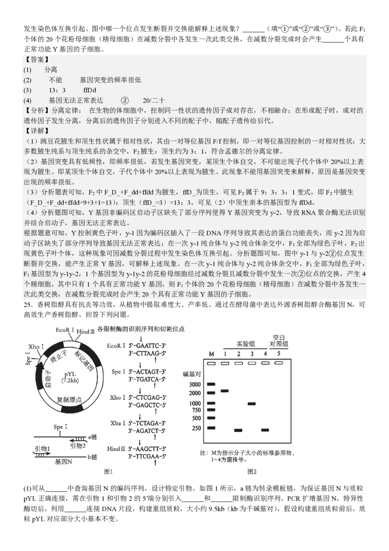 黑、吉、辽、蒙生物-答案_1.高考2025全国各省真题+答案_00.2025各省市高考真题及答案（按省份分类）_24.吉林卷（9科全）_生物