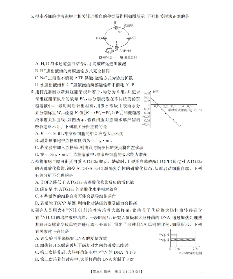 南阳市南阳地区2026届高三上学期期中摸底考试卷（26-98C）生物_251122金太阳&middot;河南省南阳市南阳地区2026届高三上学期期中摸底考试卷（26-98C）（全科）