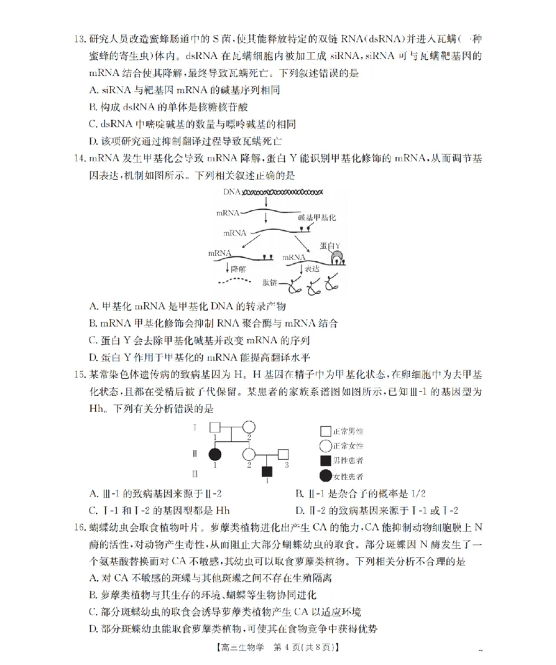 南阳市南阳地区2026届高三上学期期中摸底考试卷（26-98C）生物_251122金太阳&middot;河南省南阳市南阳地区2026届高三上学期期中摸底考试卷（26-98C）（全科）