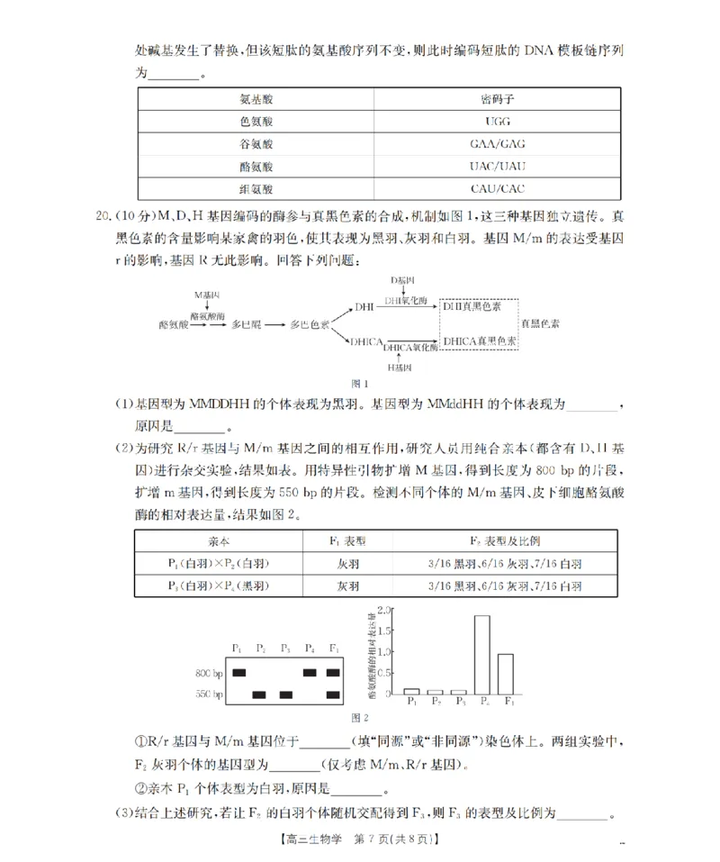南阳市南阳地区2026届高三上学期期中摸底考试卷（26-98C）生物_251122金太阳&middot;河南省南阳市南阳地区2026届高三上学期期中摸底考试卷（26-98C）（全科）