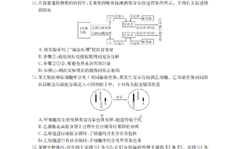 南阳市南阳地区2026届高三上学期期中摸底考试卷（26-98C）生物_251122金太阳&middot;河南省南阳市南阳地区2026届高三上学期期中摸底考试卷（26-98C）（全科）
