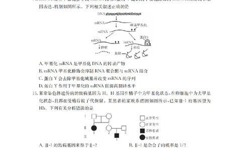 南阳市南阳地区2026届高三上学期期中摸底考试卷（26-98C）生物_251122金太阳&middot;河南省南阳市南阳地区2026届高三上学期期中摸底考试卷（26-98C）（全科）