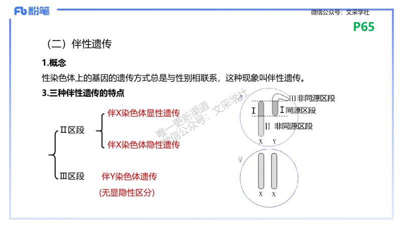 理论精讲09-遗传学2-拾光_4-教培资料-26年最新资料-同步更新_初中高中教资_03科三专项（进去保存报考的学科即可）_01科目三FB网课、三色速记手册、知识点导图等推荐_初中