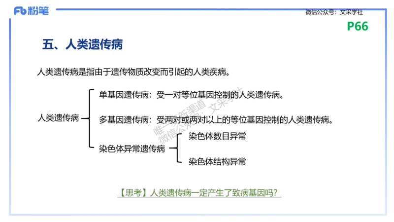 理论精讲09-遗传学2-拾光_4-教培资料-26年最新资料-同步更新_初中高中教资_03科三专项（进去保存报考的学科即可）_01科目三FB网课、三色速记手册、知识点导图等推荐_初中