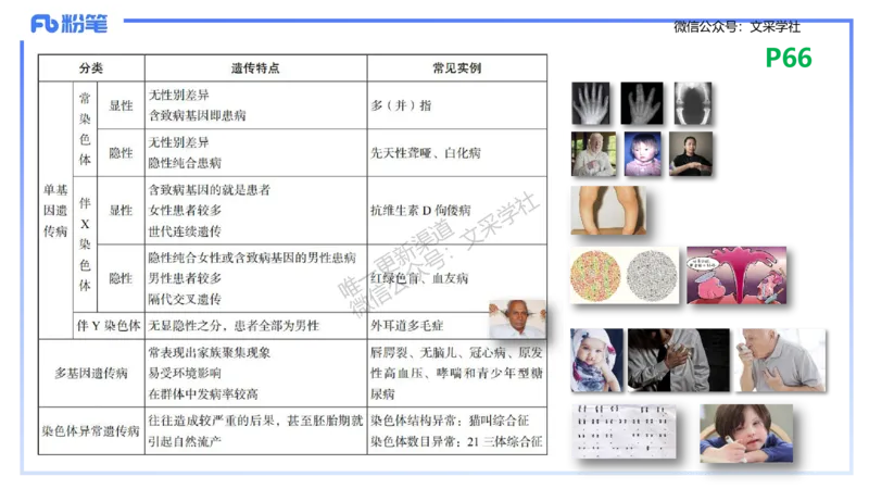 理论精讲09-遗传学2-拾光_4-教培资料-26年最新资料-同步更新_初中高中教资_03科三专项（进去保存报考的学科即可）_01科目三FB网课、三色速记手册、知识点导图等推荐_初中