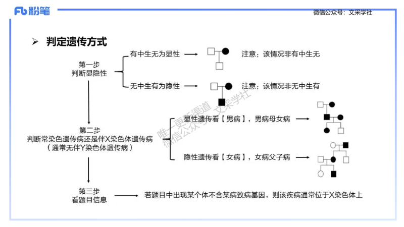 理论精讲09-遗传学2-拾光_4-教培资料-26年最新资料-同步更新_初中高中教资_03科三专项（进去保存报考的学科即可）_01科目三FB网课、三色速记手册、知识点导图等推荐_初中