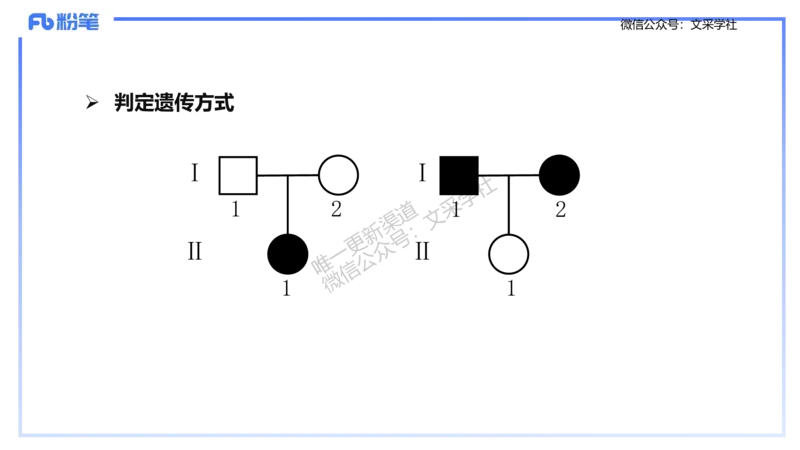 理论精讲09-遗传学2-拾光_4-教培资料-26年最新资料-同步更新_初中高中教资_03科三专项（进去保存报考的学科即可）_01科目三FB网课、三色速记手册、知识点导图等推荐_初中