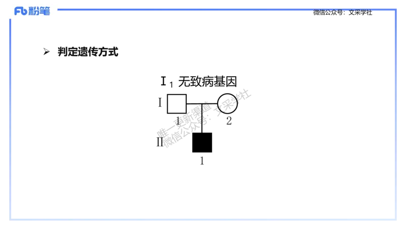 理论精讲09-遗传学2-拾光_4-教培资料-26年最新资料-同步更新_初中高中教资_03科三专项（进去保存报考的学科即可）_01科目三FB网课、三色速记手册、知识点导图等推荐_初中