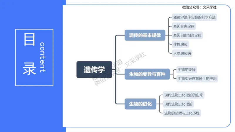 理论精讲09-遗传学2-拾光_4-教培资料-26年最新资料-同步更新_初中高中教资_03科三专项（进去保存报考的学科即可）_01科目三FB网课、三色速记手册、知识点导图等推荐_初中