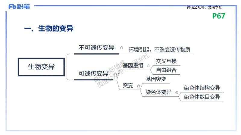 理论精讲09-遗传学2-拾光_4-教培资料-26年最新资料-同步更新_初中高中教资_03科三专项（进去保存报考的学科即可）_01科目三FB网课、三色速记手册、知识点导图等推荐_初中