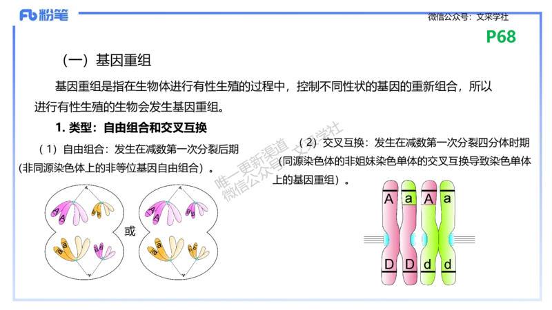 理论精讲09-遗传学2-拾光_4-教培资料-26年最新资料-同步更新_初中高中教资_03科三专项（进去保存报考的学科即可）_01科目三FB网课、三色速记手册、知识点导图等推荐_初中