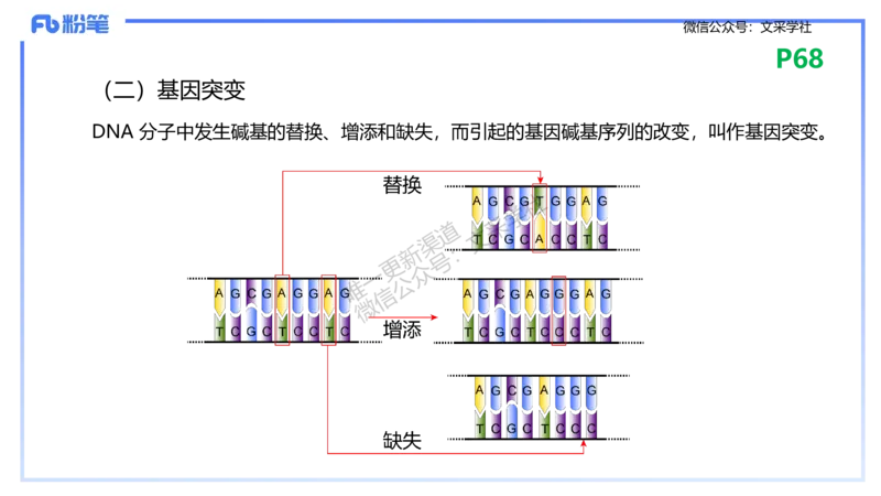 理论精讲09-遗传学2-拾光_4-教培资料-26年最新资料-同步更新_初中高中教资_03科三专项（进去保存报考的学科即可）_01科目三FB网课、三色速记手册、知识点导图等推荐_初中