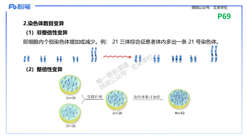 理论精讲09-遗传学2-拾光_4-教培资料-26年最新资料-同步更新_初中高中教资_03科三专项（进去保存报考的学科即可）_01科目三FB网课、三色速记手册、知识点导图等推荐_初中