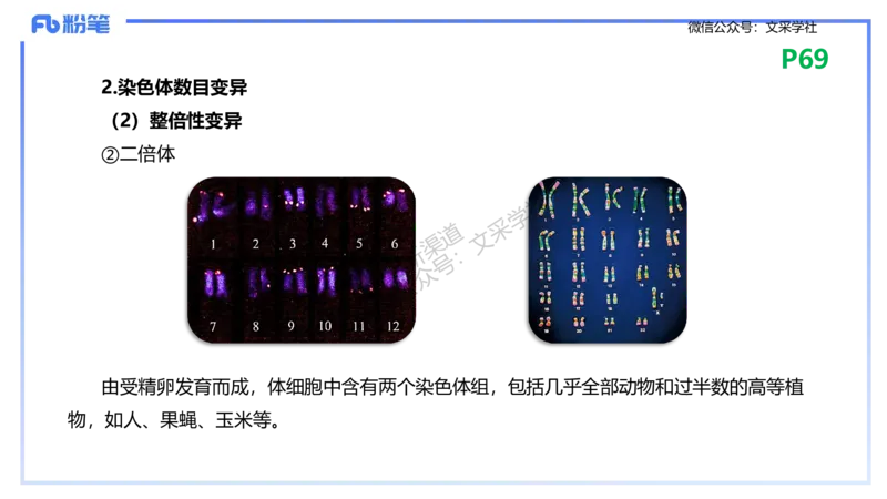 理论精讲09-遗传学2-拾光_4-教培资料-26年最新资料-同步更新_初中高中教资_03科三专项（进去保存报考的学科即可）_01科目三FB网课、三色速记手册、知识点导图等推荐_初中