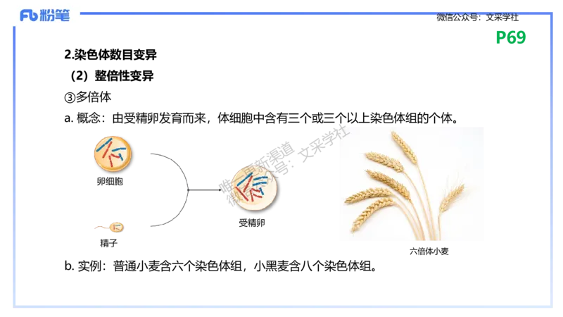 理论精讲09-遗传学2-拾光_4-教培资料-26年最新资料-同步更新_初中高中教资_03科三专项（进去保存报考的学科即可）_01科目三FB网课、三色速记手册、知识点导图等推荐_初中