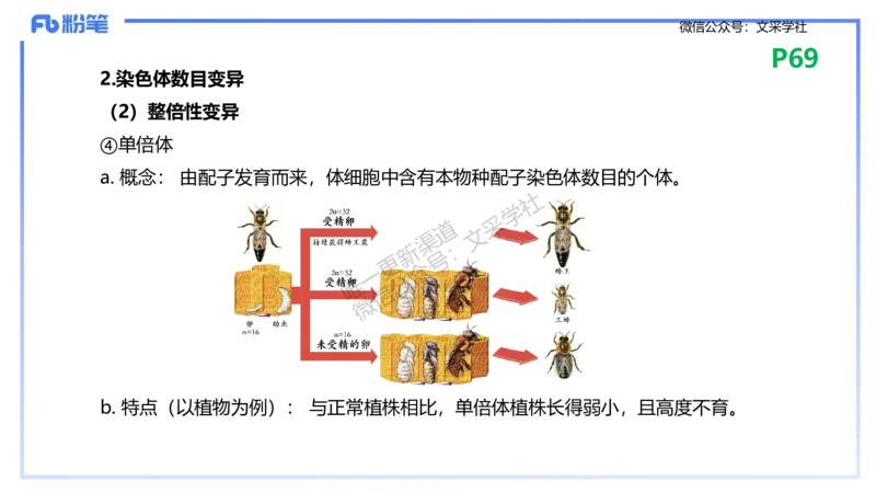 理论精讲09-遗传学2-拾光_4-教培资料-26年最新资料-同步更新_初中高中教资_03科三专项（进去保存报考的学科即可）_01科目三FB网课、三色速记手册、知识点导图等推荐_初中