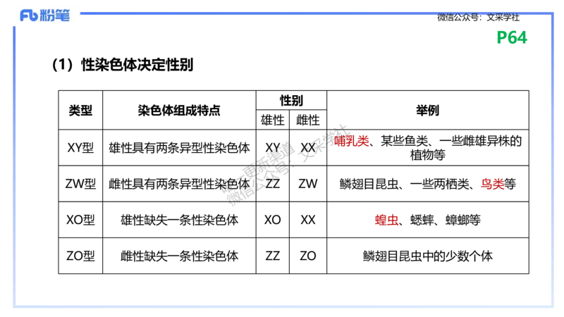 理论精讲09-遗传学2-拾光_4-教培资料-26年最新资料-同步更新_初中高中教资_03科三专项（进去保存报考的学科即可）_01科目三FB网课、三色速记手册、知识点导图等推荐_初中