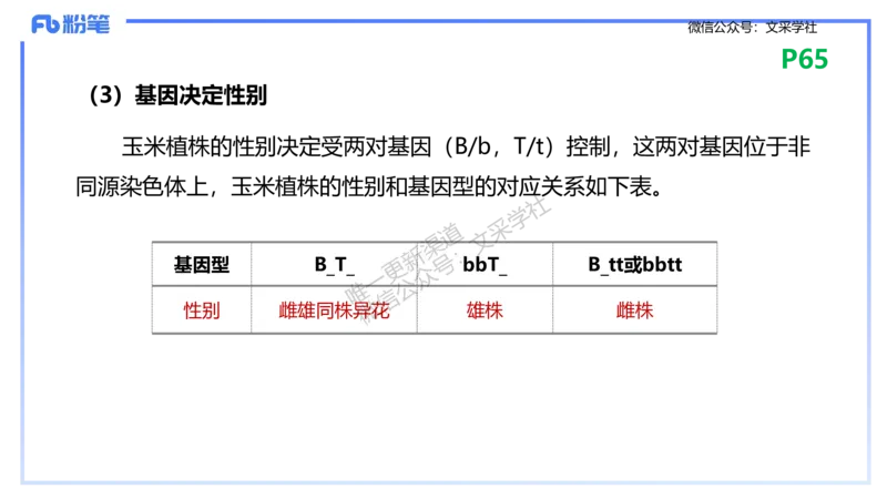 理论精讲09-遗传学2-拾光_4-教培资料-26年最新资料-同步更新_初中高中教资_03科三专项（进去保存报考的学科即可）_01科目三FB网课、三色速记手册、知识点导图等推荐_初中