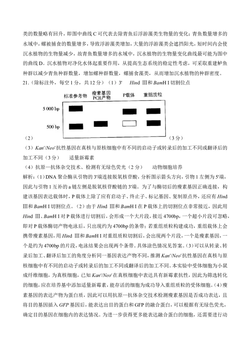 参考答案_2025年6月_2506022025届高考生物学热点核心卷新高考卷_2025届高考生物学热点核心卷新高考卷二（含解析）