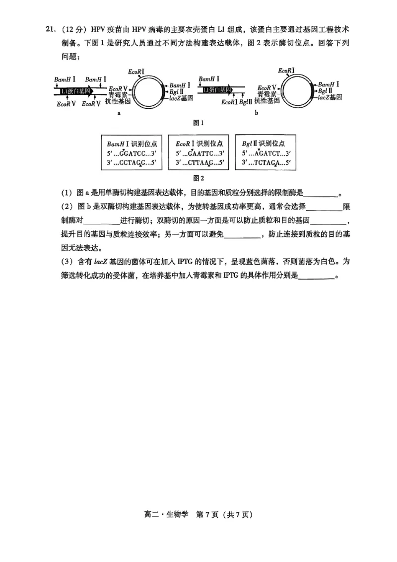 广东省汕尾市2024-2025年度第二学期高二生物期末考试试题_2025年7月_250720广东省汕尾市2024-2025学年高二下学期期末教学质量监测