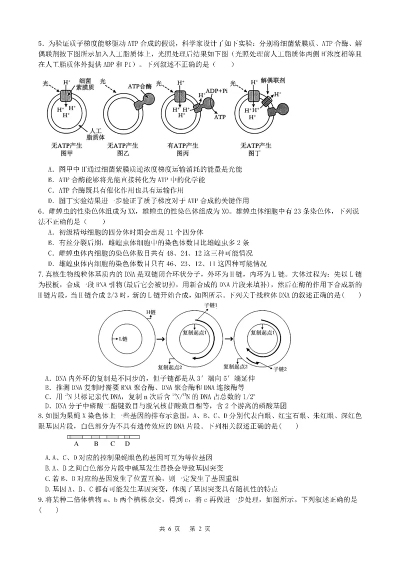成都市第七中学2025-2026学年高三上学期11月半期考试生物_251120四川省成都市第七中学2025-2026学年高三上学期11月半期考试（全科）