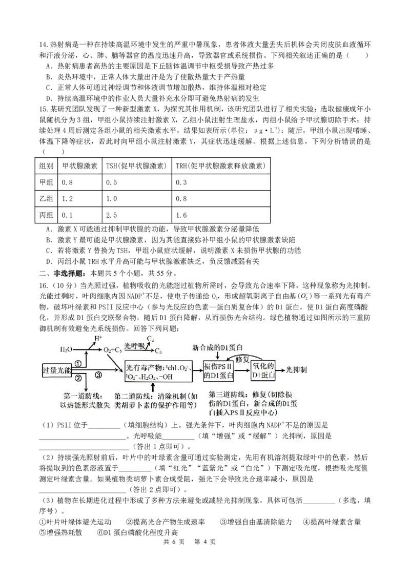 成都市第七中学2025-2026学年高三上学期11月半期考试生物_251120四川省成都市第七中学2025-2026学年高三上学期11月半期考试（全科）