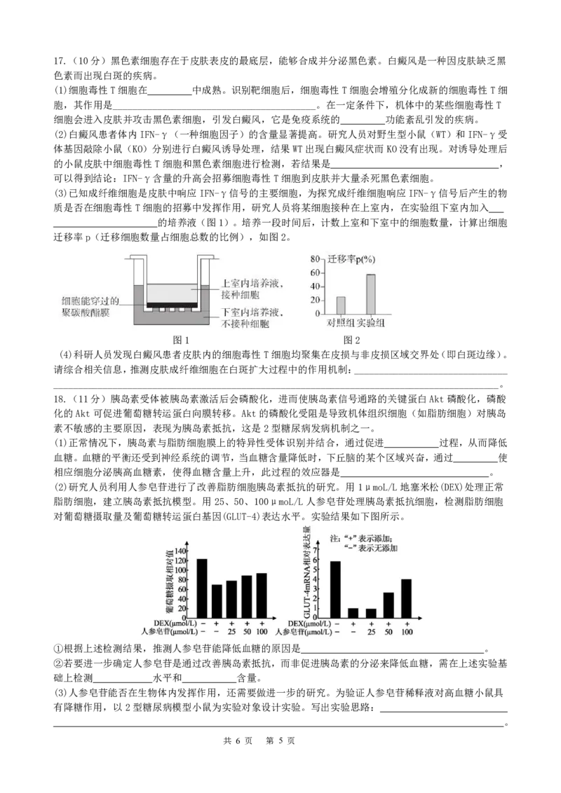 成都市第七中学2025-2026学年高三上学期11月半期考试生物_251120四川省成都市第七中学2025-2026学年高三上学期11月半期考试（全科）