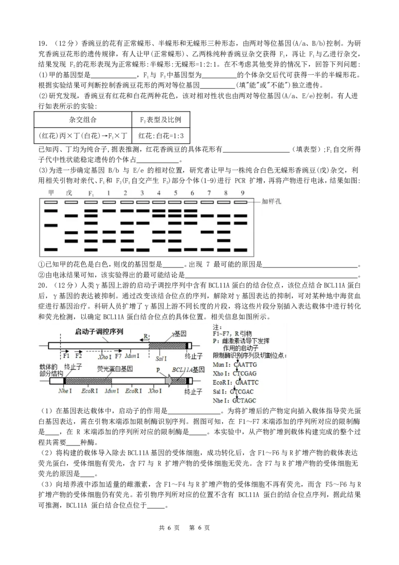 成都市第七中学2025-2026学年高三上学期11月半期考试生物_251120四川省成都市第七中学2025-2026学年高三上学期11月半期考试（全科）