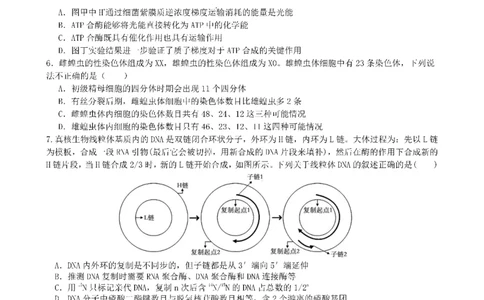 成都市第七中学2025-2026学年高三上学期11月半期考试生物_251120四川省成都市第七中学2025-2026学年高三上学期11月半期考试（全科）