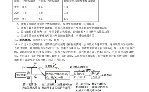 成都市第七中学2025-2026学年高三上学期11月半期考试生物_251120四川省成都市第七中学2025-2026学年高三上学期11月半期考试（全科）
