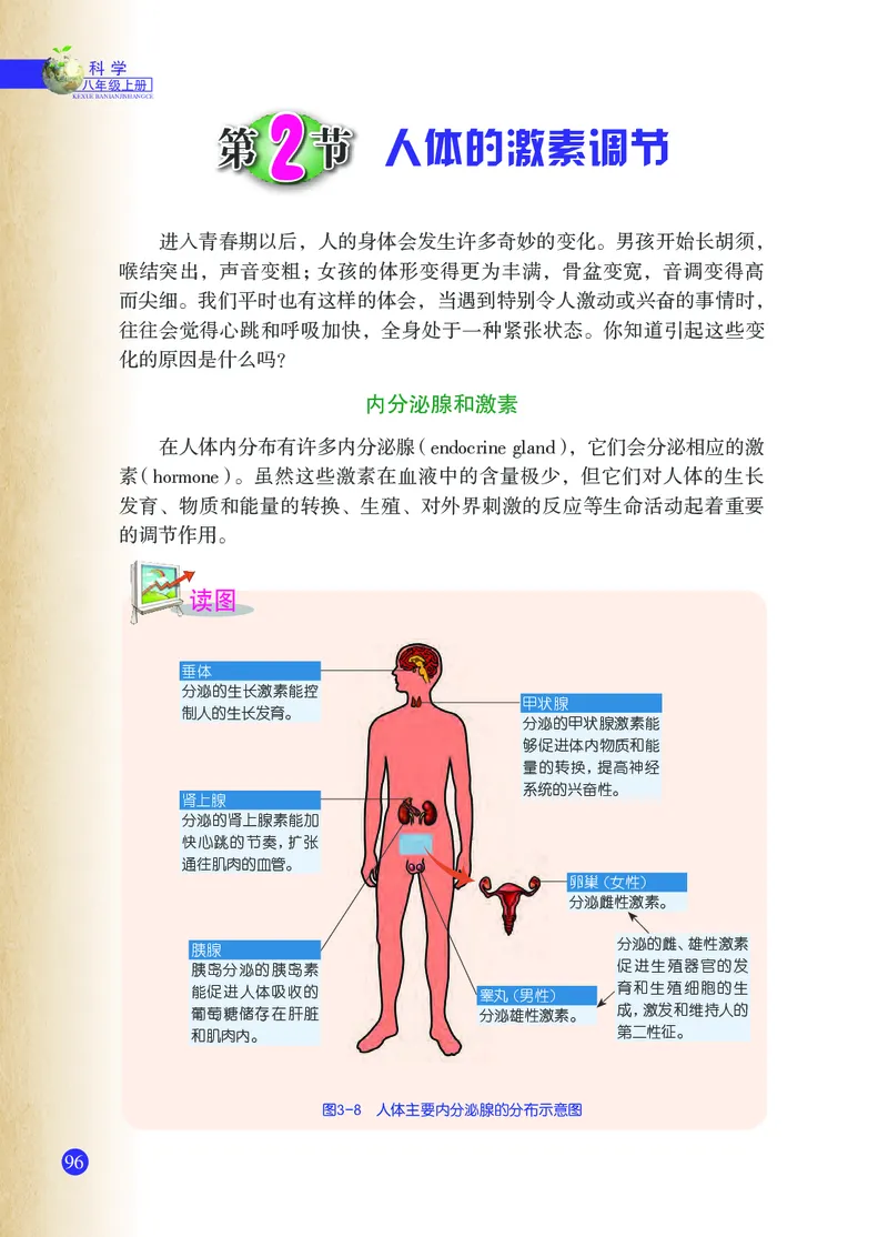 浙教版8年级科学上册高清教材_4-教培资料-26年最新资料-同步更新_初中高中教资_03科三专项（进去保存报考的学科即可）_02科三专项（笔记真题思维导图教学设计版本二）