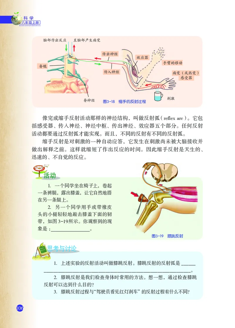 浙教版8年级科学上册高清教材_4-教培资料-26年最新资料-同步更新_初中高中教资_03科三专项（进去保存报考的学科即可）_02科三专项（笔记真题思维导图教学设计版本二）