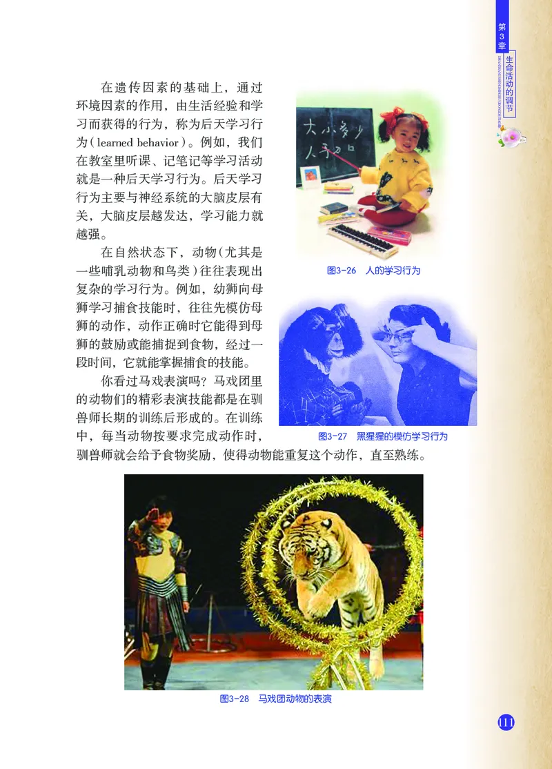 浙教版8年级科学上册高清教材_4-教培资料-26年最新资料-同步更新_初中高中教资_03科三专项（进去保存报考的学科即可）_02科三专项（笔记真题思维导图教学设计版本二）