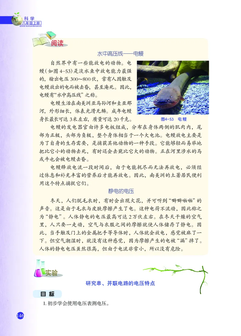浙教版8年级科学上册高清教材_4-教培资料-26年最新资料-同步更新_初中高中教资_03科三专项（进去保存报考的学科即可）_02科三专项（笔记真题思维导图教学设计版本二）