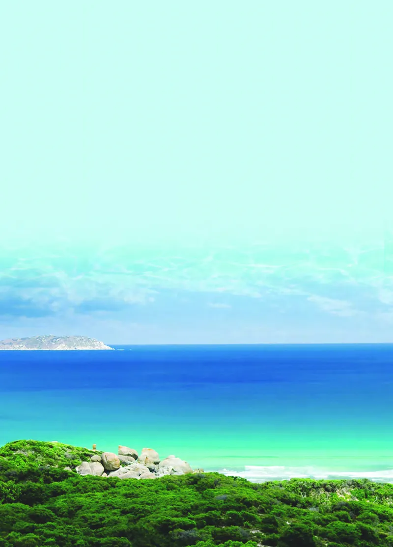 浙教版8年级科学上册高清教材_4-教培资料-26年最新资料-同步更新_初中高中教资_03科三专项（进去保存报考的学科即可）_02科三专项（笔记真题思维导图教学设计版本二）