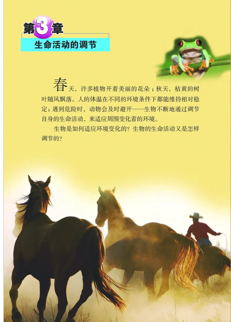 浙教版8年级科学上册高清教材_4-教培资料-26年最新资料-同步更新_初中高中教资_03科三专项（进去保存报考的学科即可）_02科三专项（笔记真题思维导图教学设计版本二）