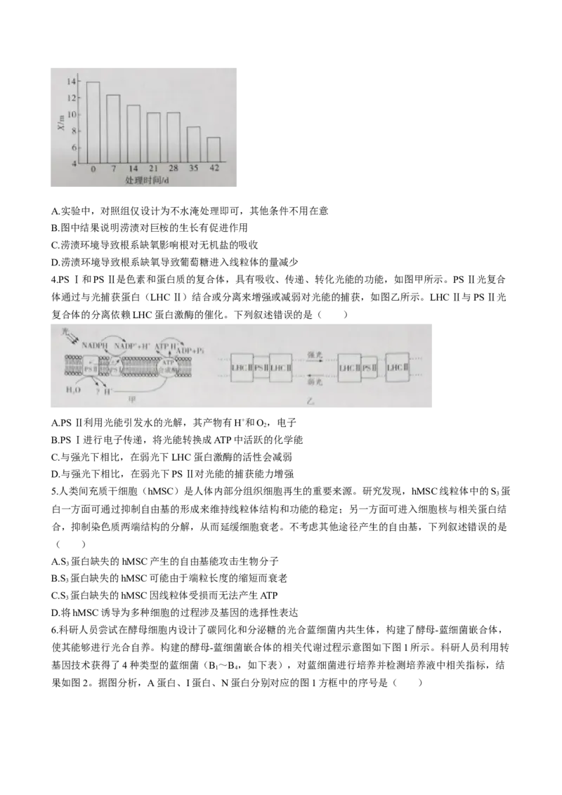 江西省赣州市十八县（市、区）二十四校联考2026届高三上学期期中考试生物试卷（含解析）_251114江西省赣州市十八县（市、区）二十四校联考2026届高三上学期期中考试试卷（全科）