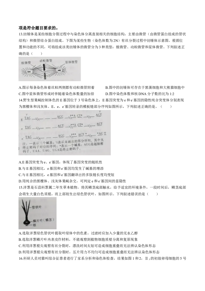 江西省赣州市十八县（市、区）二十四校联考2026届高三上学期期中考试生物试卷（含解析）_251114江西省赣州市十八县（市、区）二十四校联考2026届高三上学期期中考试试卷（全科）