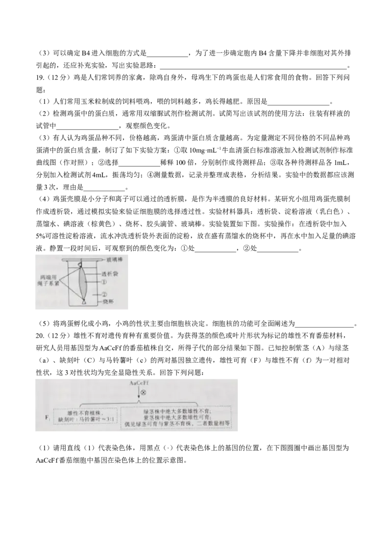 江西省赣州市十八县（市、区）二十四校联考2026届高三上学期期中考试生物试卷（含解析）_251114江西省赣州市十八县（市、区）二十四校联考2026届高三上学期期中考试试卷（全科）