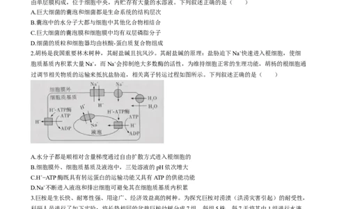 江西省赣州市十八县（市、区）二十四校联考2026届高三上学期期中考试生物试卷（含解析）_251114江西省赣州市十八县（市、区）二十四校联考2026届高三上学期期中考试试卷（全科）