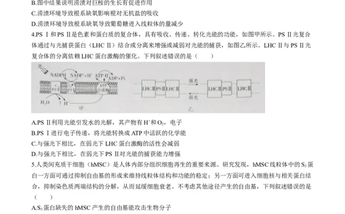 江西省赣州市十八县（市、区）二十四校联考2026届高三上学期期中考试生物试卷（含解析）_251114江西省赣州市十八县（市、区）二十四校联考2026届高三上学期期中考试试卷（全科）