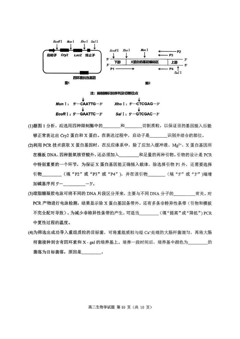 四川省达州市普通高中2024&mdash;2025学年高二年级下学期期末教学质量监测生物试题四川省达州市普通高中2024&mdash;2025学年高二年级下学期期末教学质量监测生物试题_2025年7月