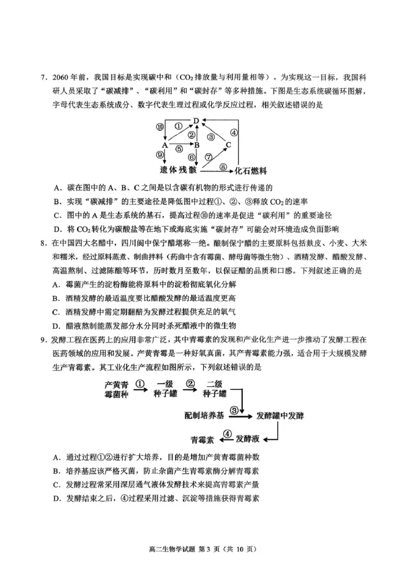 四川省达州市普通高中2024&mdash;2025学年高二年级下学期期末教学质量监测生物试题四川省达州市普通高中2024&mdash;2025学年高二年级下学期期末教学质量监测生物试题_2025年7月