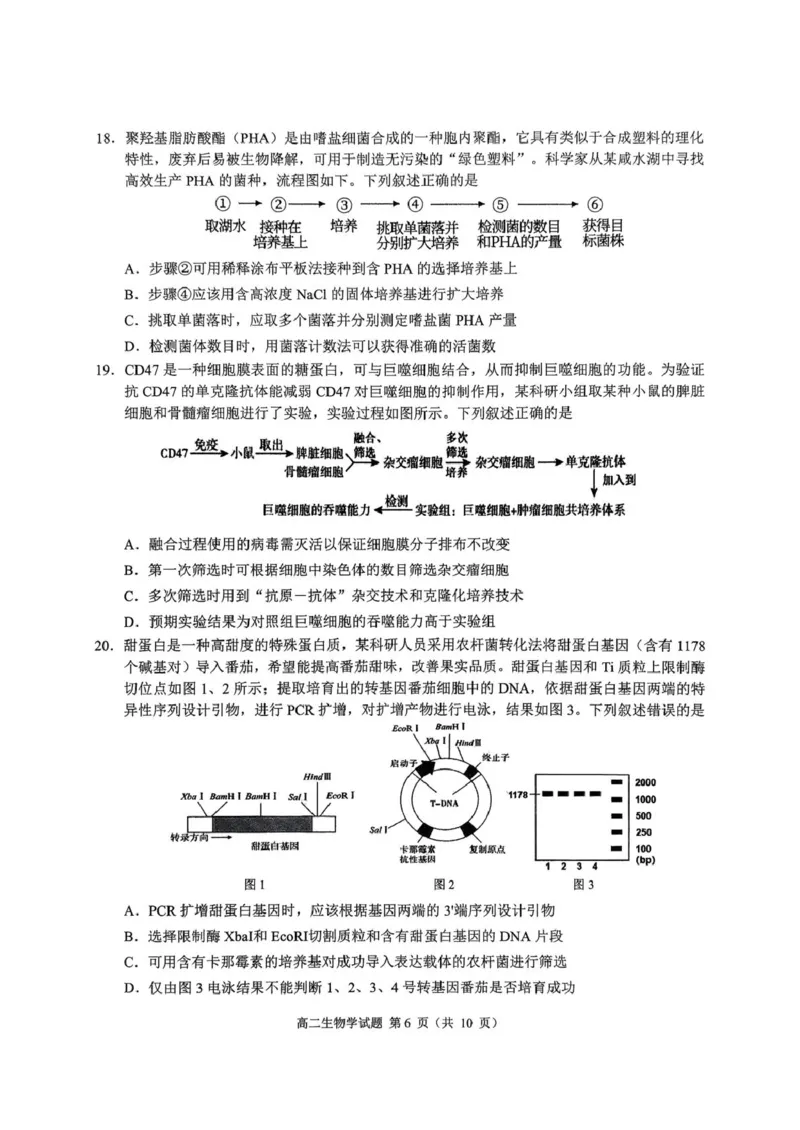 四川省达州市普通高中2024&mdash;2025学年高二年级下学期期末教学质量监测生物试题四川省达州市普通高中2024&mdash;2025学年高二年级下学期期末教学质量监测生物试题_2025年7月