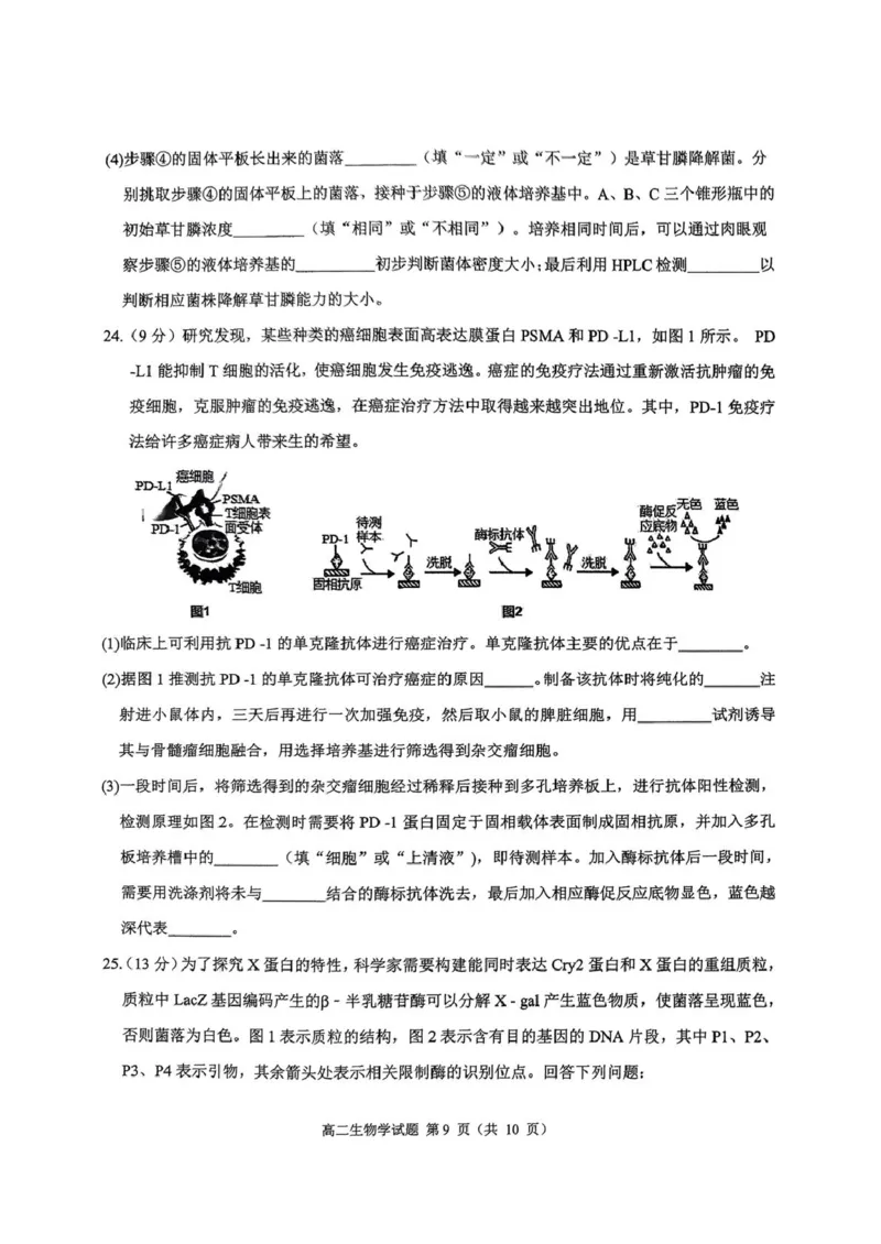 四川省达州市普通高中2024&mdash;2025学年高二年级下学期期末教学质量监测生物试题四川省达州市普通高中2024&mdash;2025学年高二年级下学期期末教学质量监测生物试题_2025年7月