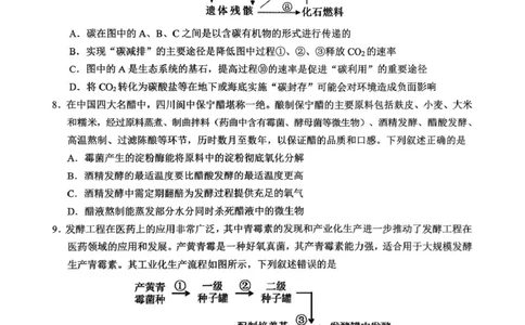四川省达州市普通高中2024&mdash;2025学年高二年级下学期期末教学质量监测生物试题四川省达州市普通高中2024&mdash;2025学年高二年级下学期期末教学质量监测生物试题_2025年7月