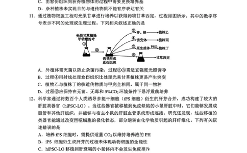 四川省达州市普通高中2024&mdash;2025学年高二年级下学期期末教学质量监测生物试题四川省达州市普通高中2024&mdash;2025学年高二年级下学期期末教学质量监测生物试题_2025年7月