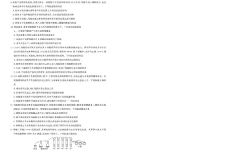 圆创联盟11月联考生物试卷_251113湖北圆创联盟2026届高三11月联考阶段训练（全科）_湖北圆创联盟2026届高三11月联考阶段训练生物