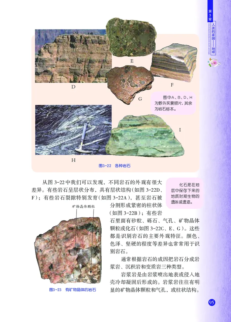 浙教版7年级科学上册高清教材_4-教培资料-26年最新资料-同步更新_初中高中教资_03科三专项（进去保存报考的学科即可）_02科三专项（笔记真题思维导图教学设计版本二）